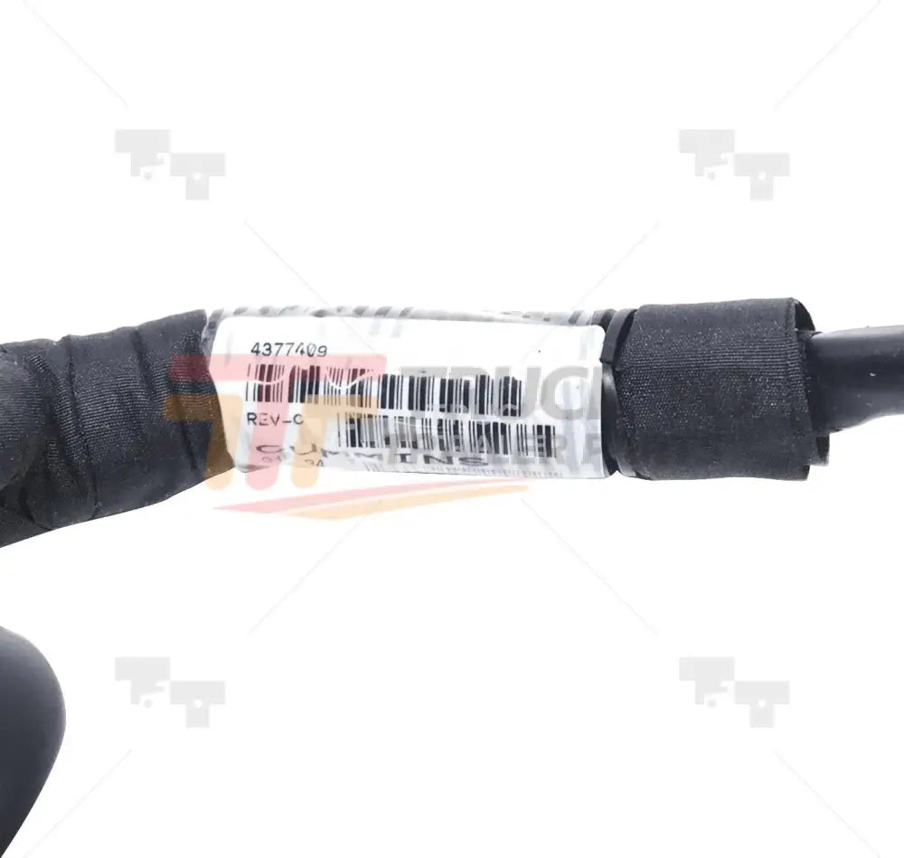 4377409 Oem Cummins Wiring Harnes 4329839 For Cummins - Truck To Trailer