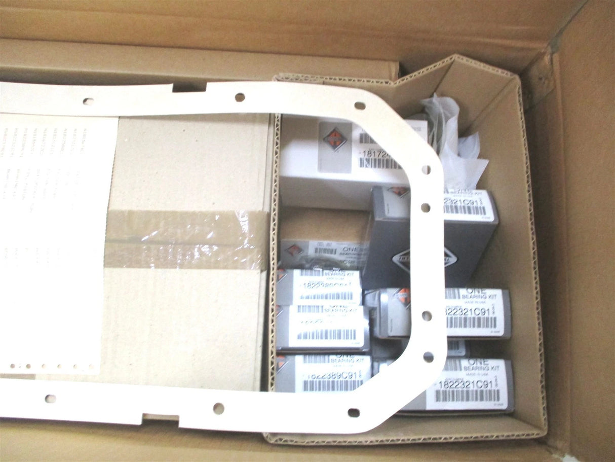 1833446C95 International Engine Overhaul Kit