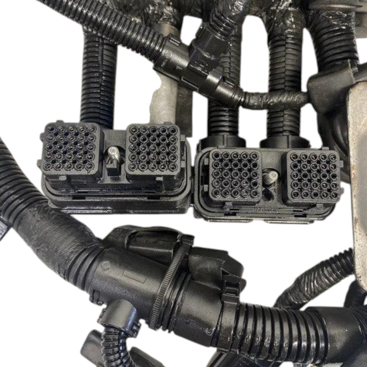 3099357 Cummins Wiring Harness