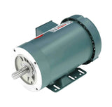 121181.00 Genuine Leeson General Purpose Motor*