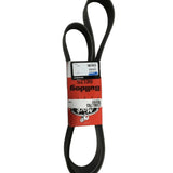 23961793 Genuine Mack V-Ribbed Belt - Truck To Trailer