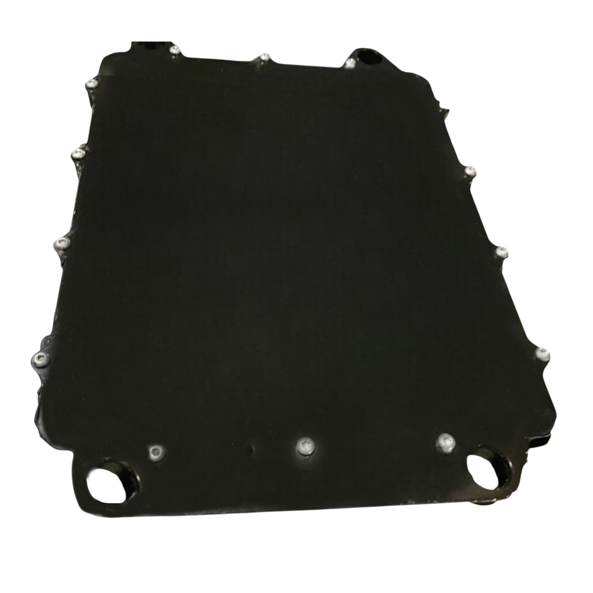 11R-1002 CAT Control Group-Electronic