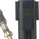 3006419C1 Genuine International Dpf Exhaust Gas Temperature Sensor - Truck To Trailer
