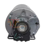 3K617BG Dayton Split-Phase Belt Drive Motor 3/4 HP 1725 RPM 115/208-230VAC - Truck To Trailer
