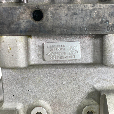 4954315 Genuine Cummins Fuel Pump For Cummins Isc 8.3L Isl 8.9L - Truck To Trailer