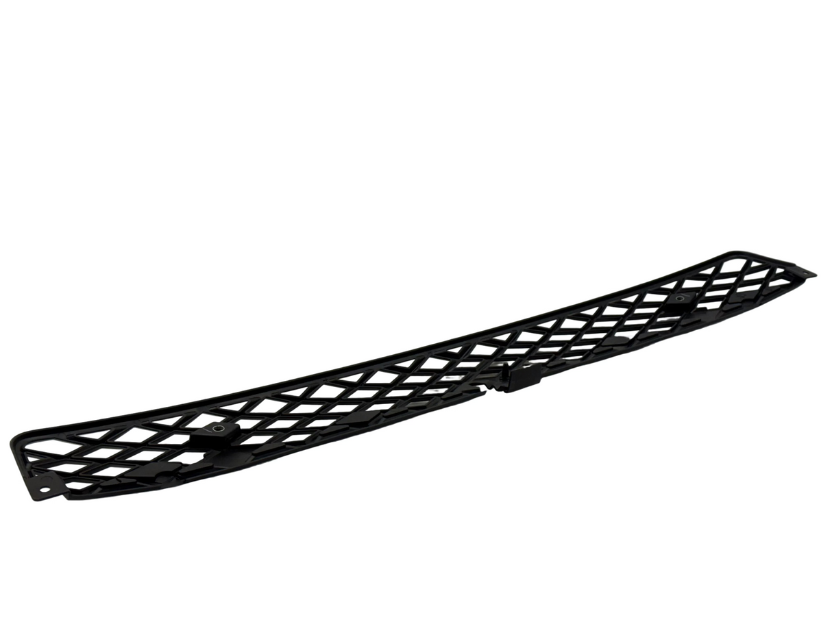 17-21734-010 Western Star Lower Mesh Cover