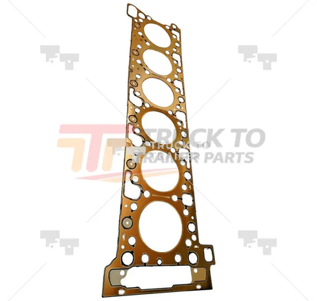 A4720161420 Genuine Detroit Diesel Head Gasket - Truck To Trailer