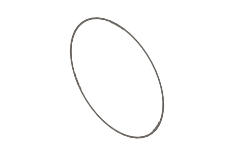 Cummins 4918284 Liner Seal Ring - Truck To Trailer