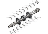 3018212 Genuine Cummins Main Bearing Kit