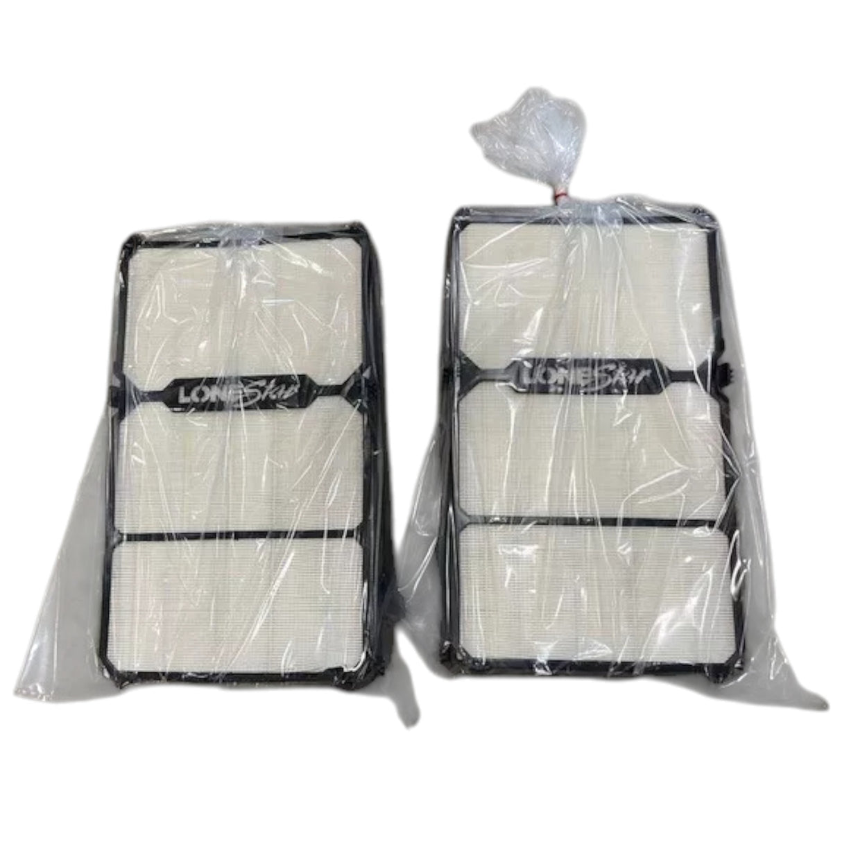 3673668C1 Genuine International Dual Air Filter Elements
