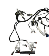 1001266666 JLG Wiring Harness
