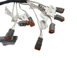 1001266666 JLG Wiring Harness