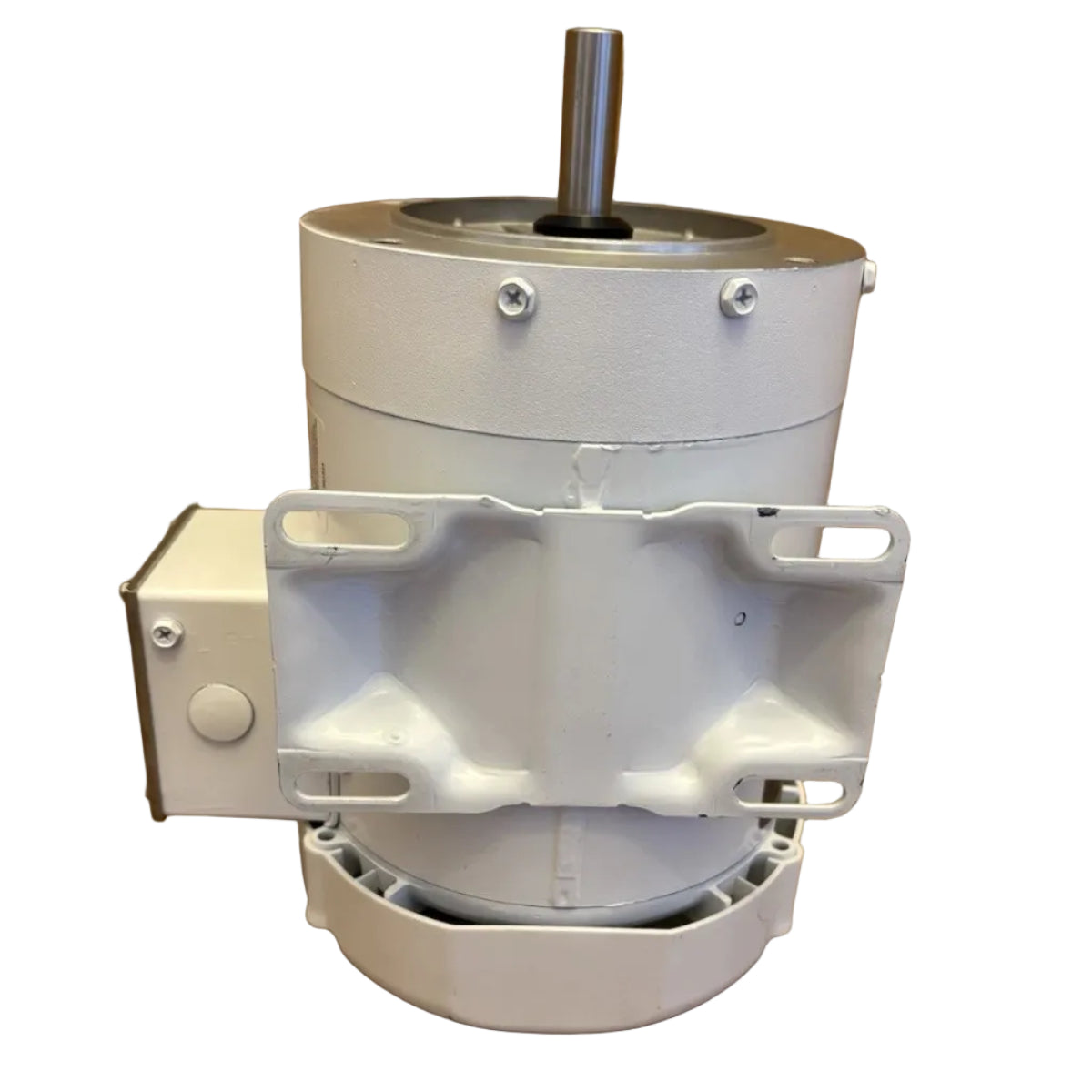 112528.00 Leeson Washdown Motor