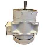 112528.00 Leeson Washdown Motor