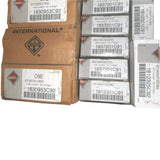 1841383C93 International Piston Works Standard Size Kit - Truck To Trailer