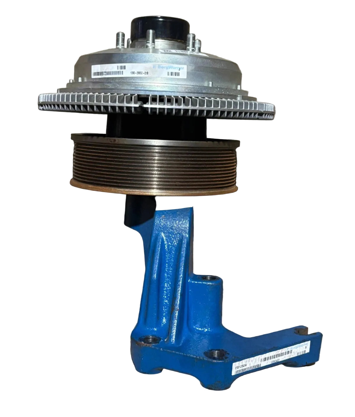 010034244 Genuine BorgWarner Fan Clutch Assembly