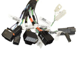 S926321003 Genuine Paccar Chassis Wiring Harness - Truck To Trailer