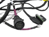 M92-6073-0030706 Genuine Paccar Wiring Harness