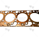 A4720161420 Genuine Detroit Diesel Head Gasket - Truck To Trailer