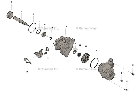 Cummins 4955709 Water Pump - Truck To Trailer