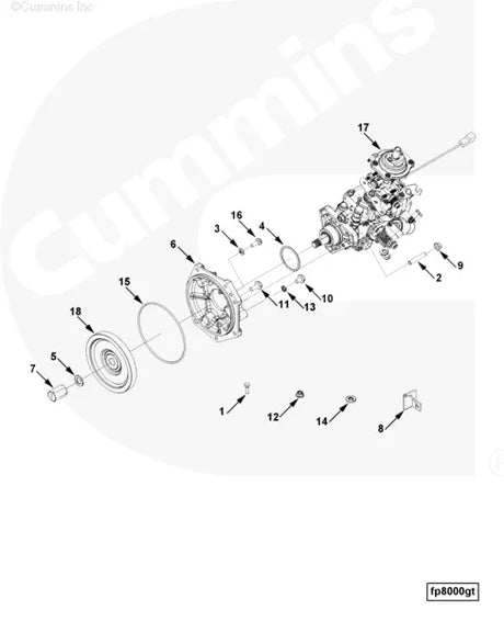 Cummins 5253126 Fuel Pump Gear - Truck To Trailer